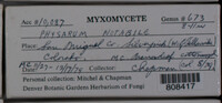 Image Associated With the Occurence